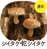シイタケ・乾シイタケ