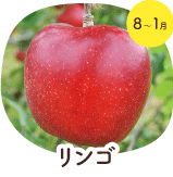 リンゴ