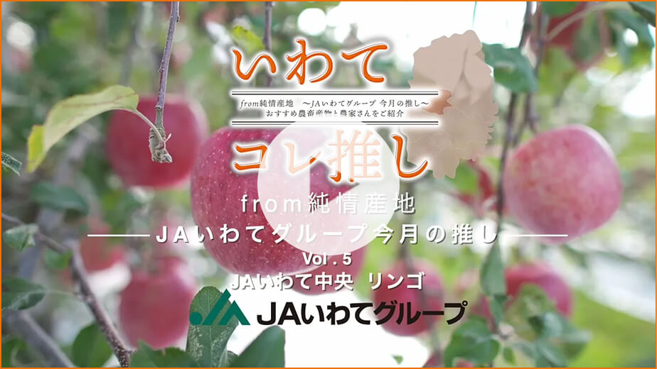 11月20日掲載 JAいわて中央 りんご 詳しくはこちらから！