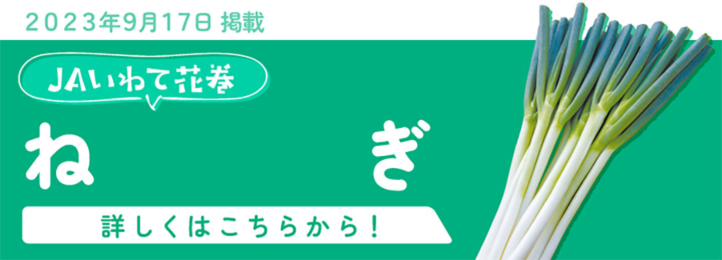 9月17日掲載 JAいわて花巻　ねぎ 詳しくはこちらから！