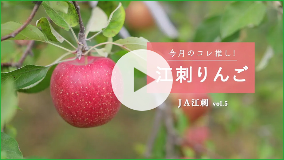 11月17日掲載 江刺りんご 詳しくはこちらから！