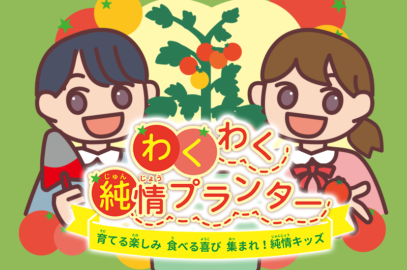 わくわく純情プランター